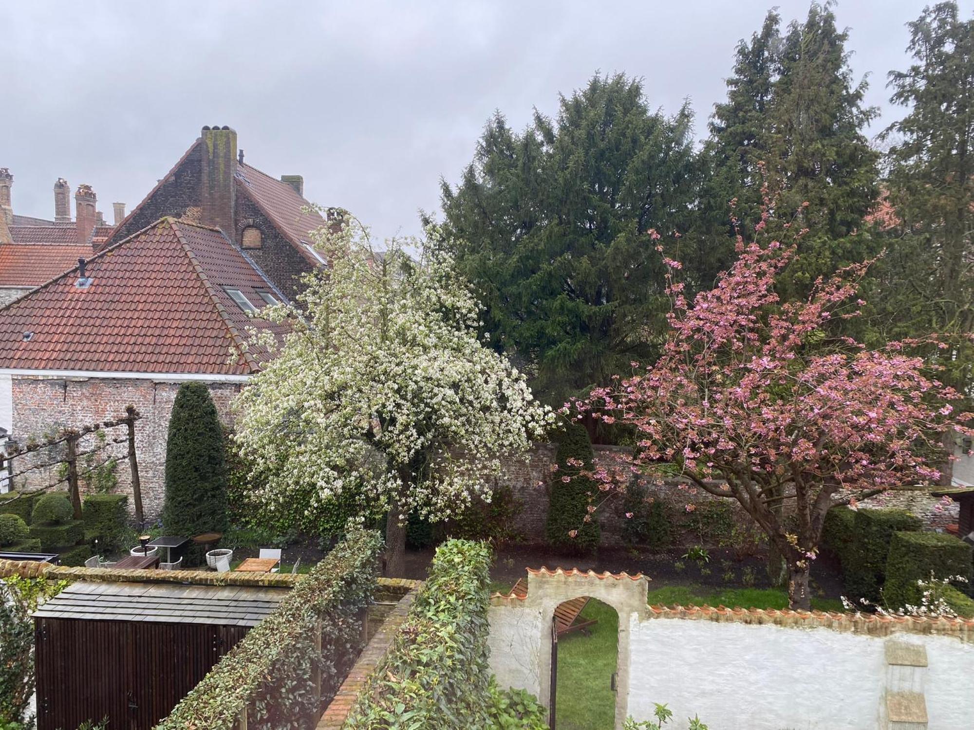 Residence9Brügge Exterior foto